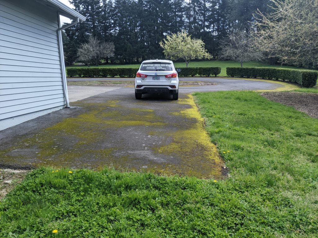 Moss covered asphalt is not good. Moss destroys asphalt